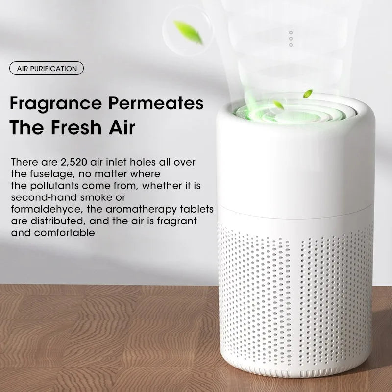 Air Purifier H13 True HEPA Filter 2-in-1 Deodorizing Air Cleaner for Home Allergies and Pets Hair,Smokers in Bedroom